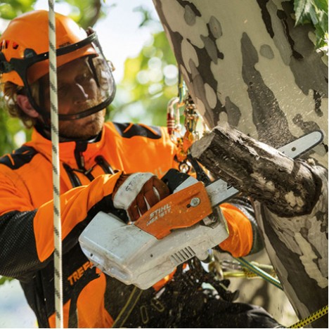 Motosega Stihl MSA 161T Motosega Stihl MSA 161T