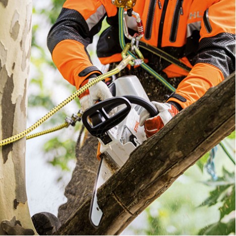 Motosega Stihl MSA 161T Motosega Stihl MSA 161T
