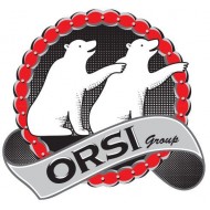 Orsi